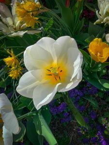 Kunin, S. Untitled Kunin, S. Untitled