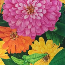 “Summer Bloom”