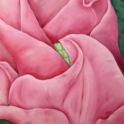 Nancy Ennis Sefko
