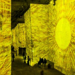 “Subterranean Sunflowers”