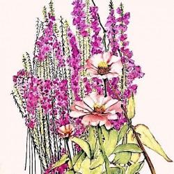 “Pink Fantasy” <br>
Tara Hamilton<br>
24x18   l    $300