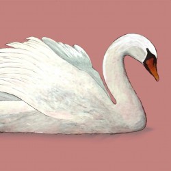 “Classic Swan” <br>
Elin Whitney-Smith<br>
Iridescent Watercolor on Poster Board<br>
16x21   l   $180