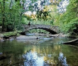 Processed with VSCO with preset